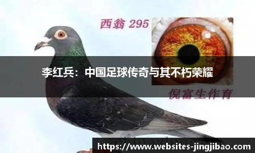 竞技宝电竞