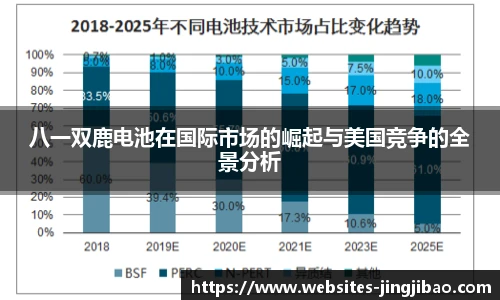 八一双鹿电池在国际市场的崛起与美国竞争的全景分析
